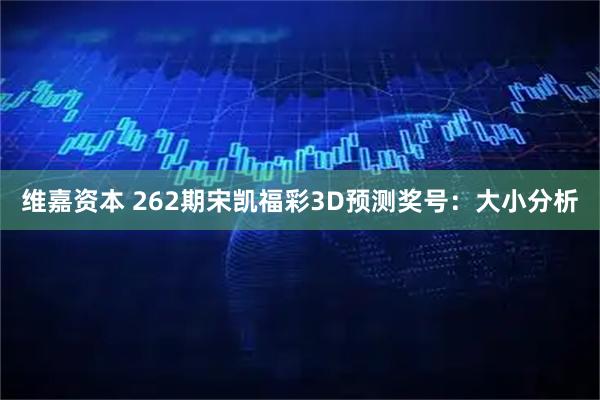 维嘉资本 262期宋凯福彩3D预测奖号：大小分析