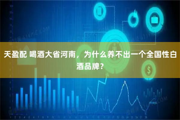 天盈配 喝酒大省河南，为什么养不出一个全国性白酒品牌？